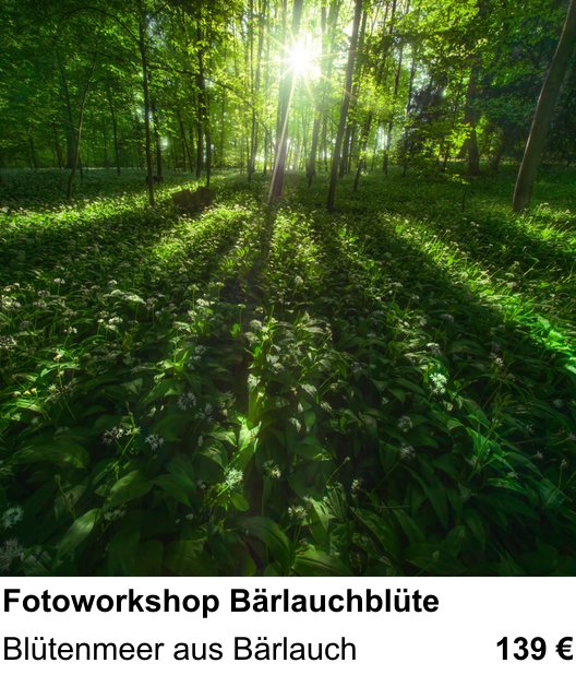 Fundierter Fotokurs mit dem Thema Fotoworkshop Bärlauchblüte: Blütenmeer aus Bärlauch