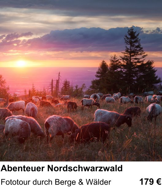 Fundierter Fotokurs mit dem Thema Abenteuer Nordschwarzwald: Fototour durch Berge & Wälder
