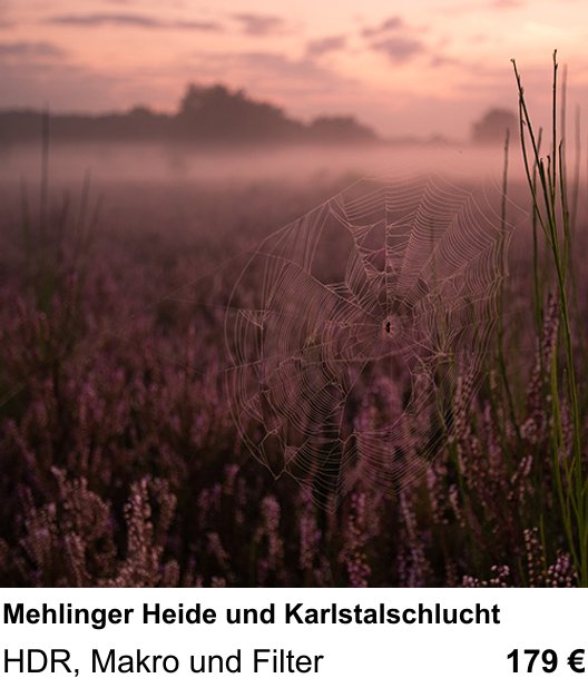 Fundierter Fotokurs mit dem Thema Mehlinger Heide und Karlstalschlucht: HDR, Makro und Filter