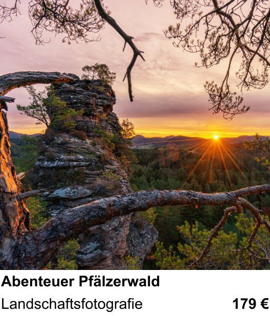 Fundierter Fotokurs mit dem Thema Abenteuer Pfälzerwald: Landschaftsfotografie