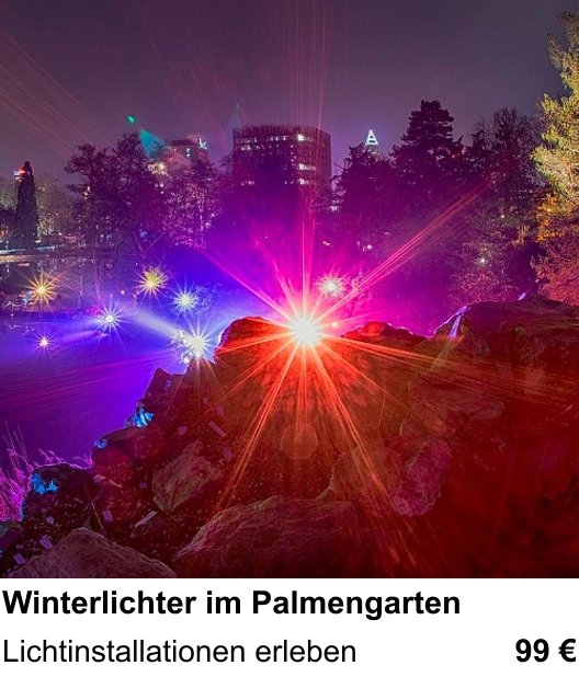 Fundierter Fotokurs mit dem Thema Winterlichter im Palmengarten: Lichtinstallationen erleben