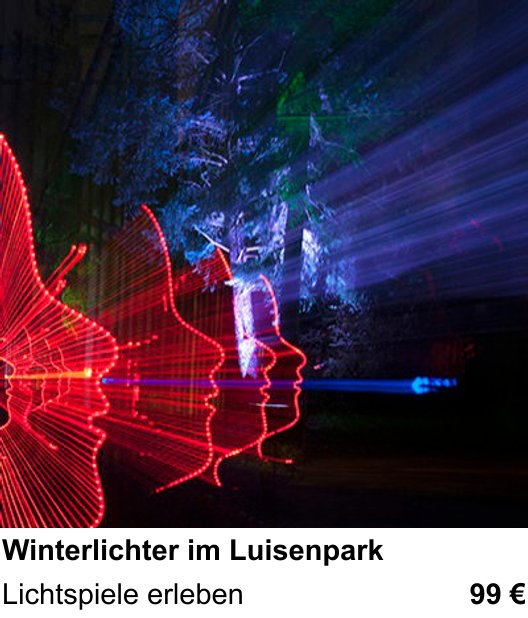 Fundierter Fotokurs mit dem Thema Winterlichter im Luisenpark: Lichtspiele erleben
