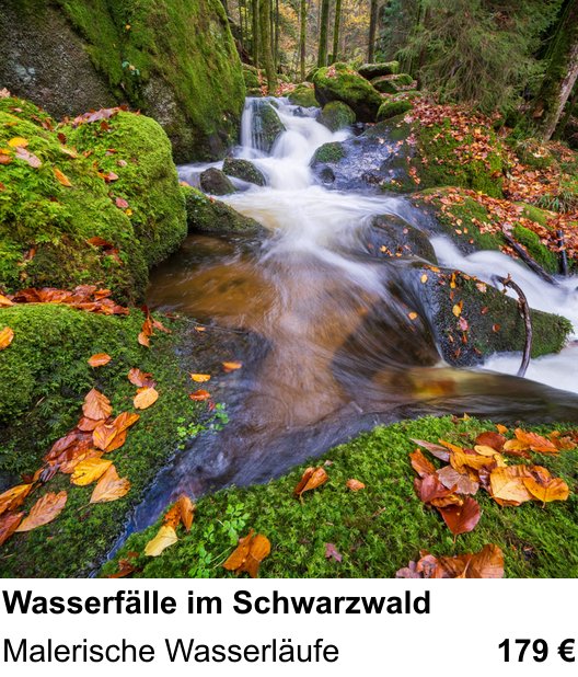 Fundierter Fotokurs mit dem Thema Wasserfälle im Schwarzwald: Malerische Wasserläufe