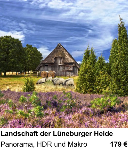 Fundierter Fotokurs mit dem Thema Landschaft der Lüneburger Heide: Panorama, HDR und Makro