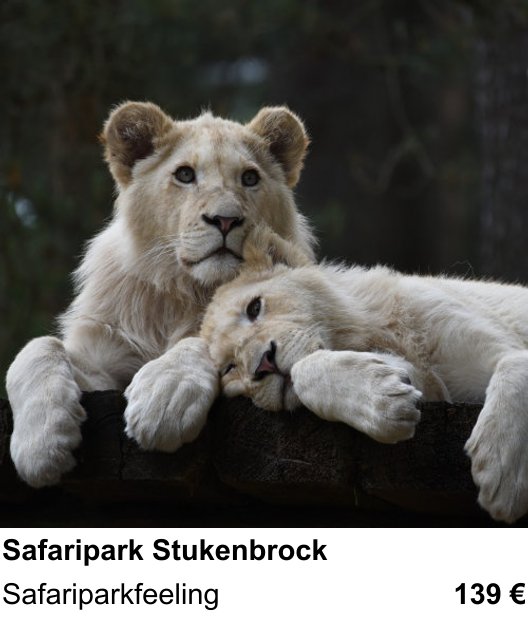 Fundierter Fotokurs mit dem Thema Safaripark Stukenbrock: Safariparkfeeling