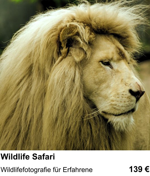 Fotografische Praxis in Köln: Wildlife Safari